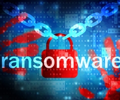 Think Your Business Is Too Small for Hackers and Ransomware Attacks? Think Again!